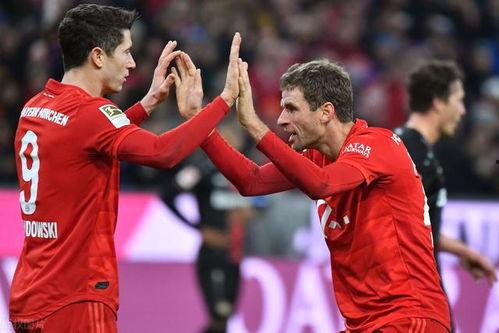 10月28日 德甲第9轮 斯图加特vs霍芬海姆,德甲第9轮焦点战即将上演！